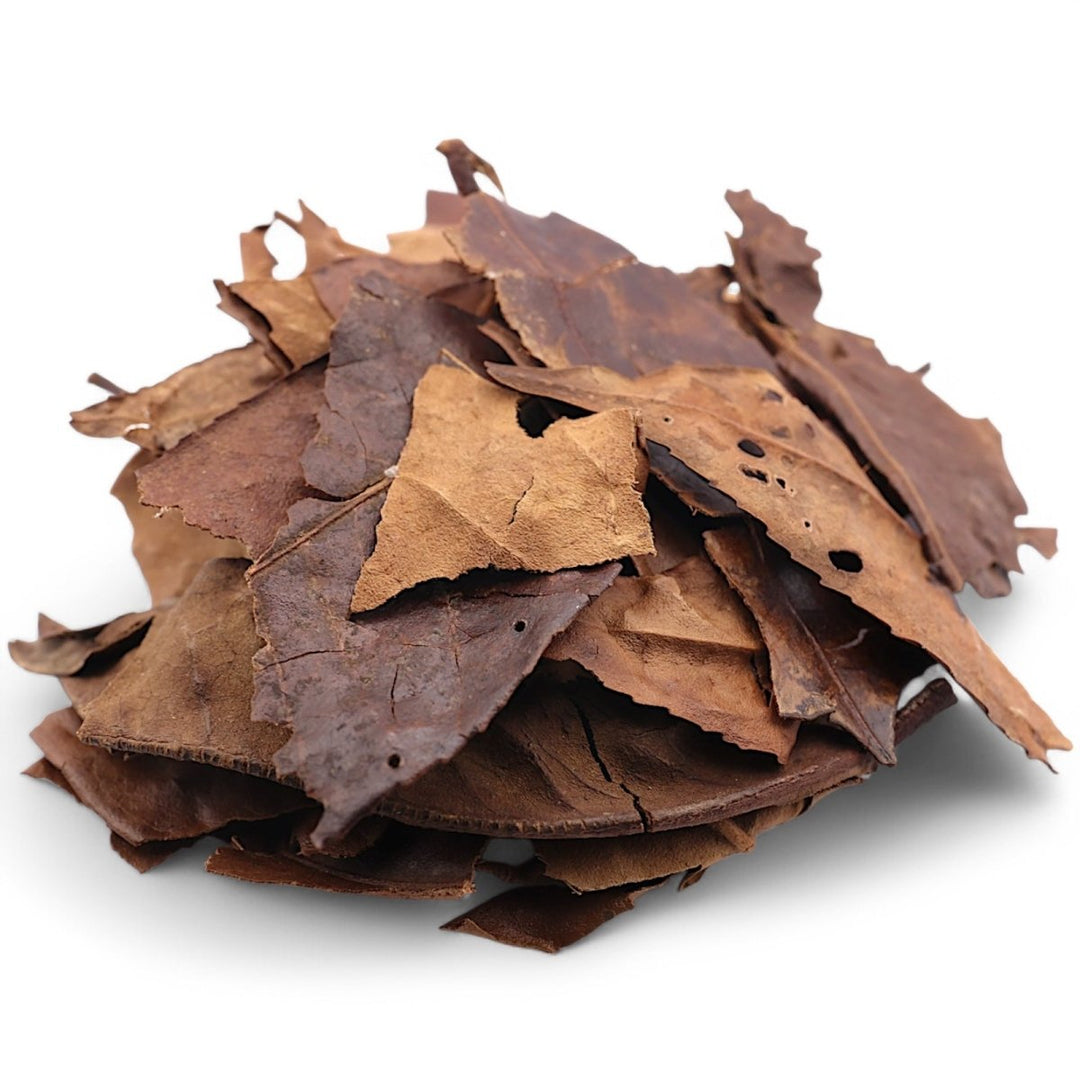 2007 Handpicked Big Leaves Liu Bao Heicha - Tea and Whisk