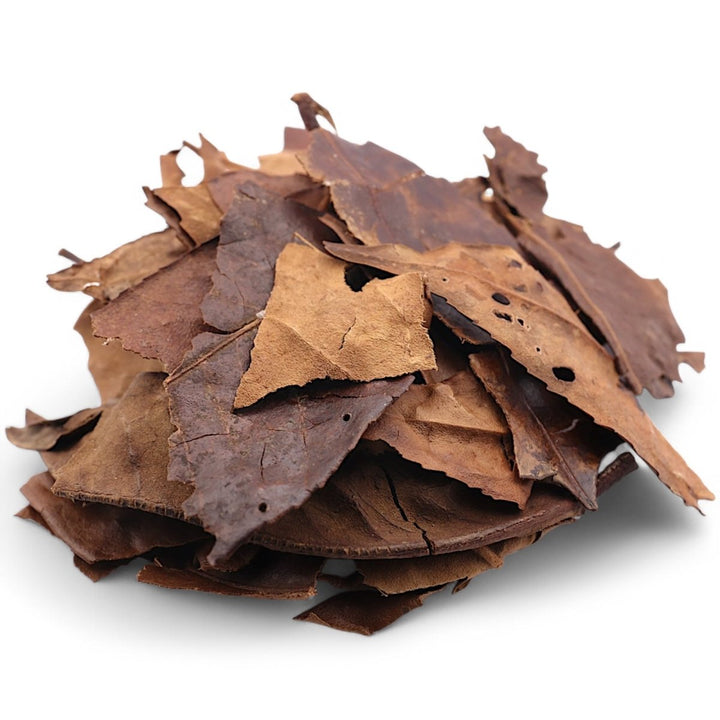 2007 Handpicked Big Leaves Liu Bao Heicha - Tea and Whisk