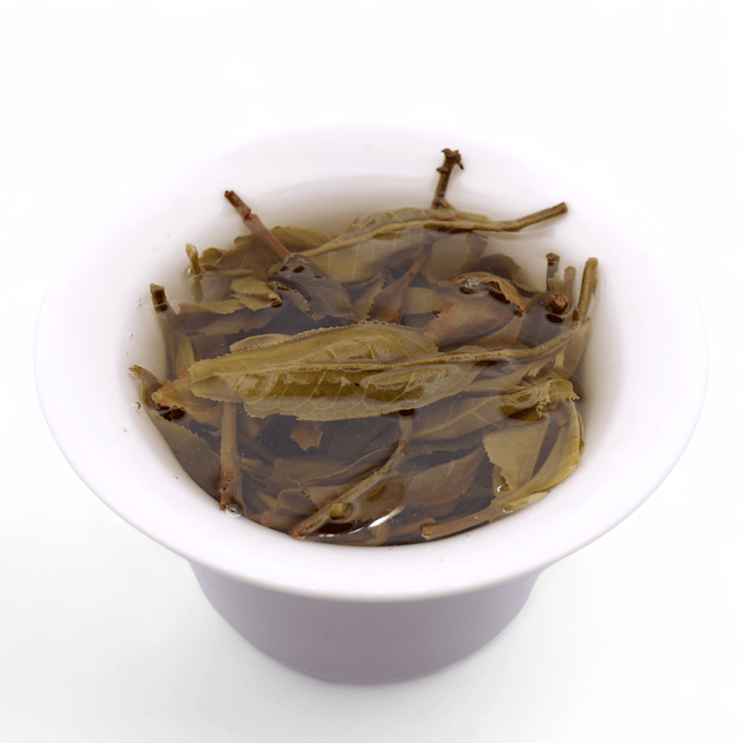 2024 Nanling Village Sheng Puerh - Tea and Whisk