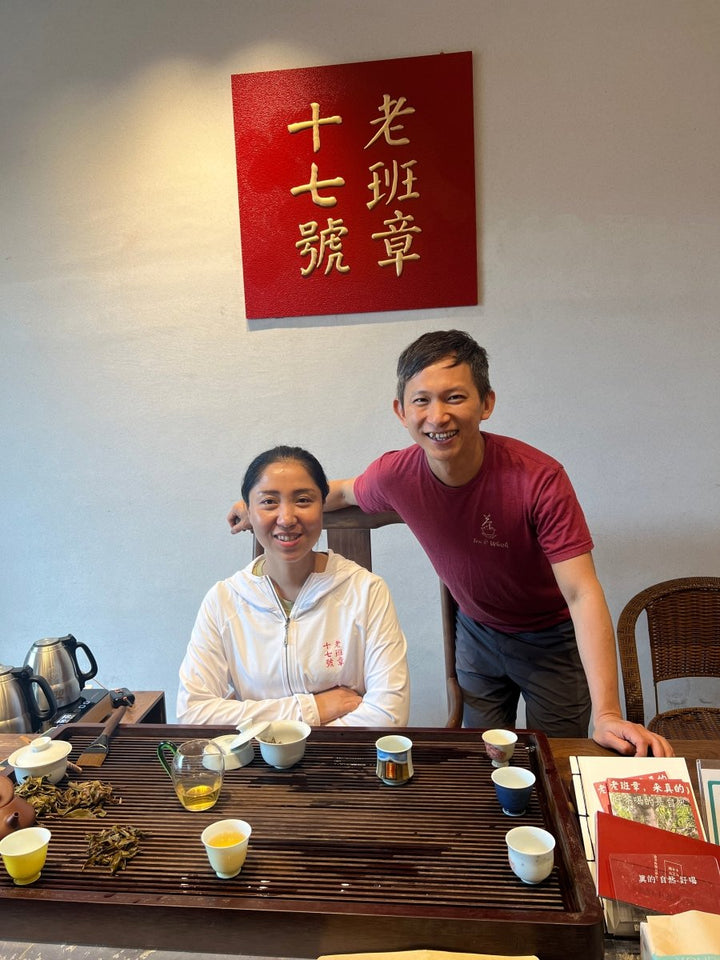 2025 Tea Discoveries: Leo’s Curated Finds from China & Japan - Tea and Whisk