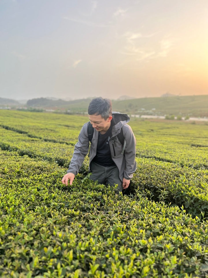 2025 Tea Discoveries: Leo’s Curated Finds from China & Japan - Tea and Whisk