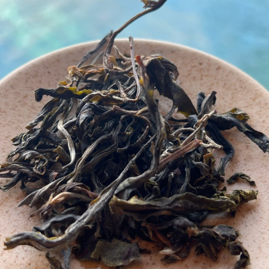 Gushu Old Tree Xigui Raw Puerh - Tea and Whisk