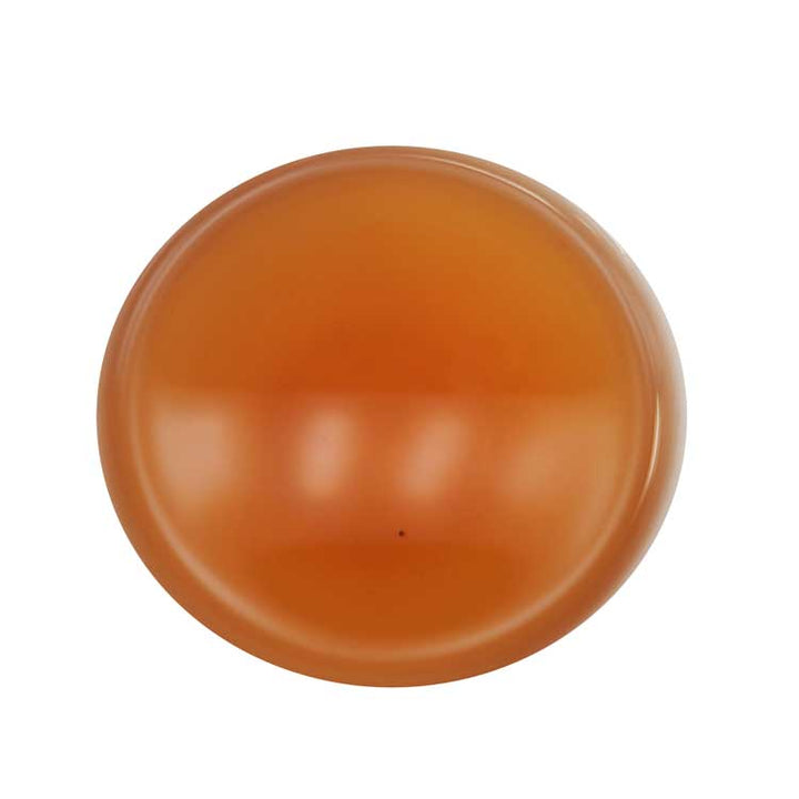 Honey Jinjunmei Black Tea (Updated June 2025)