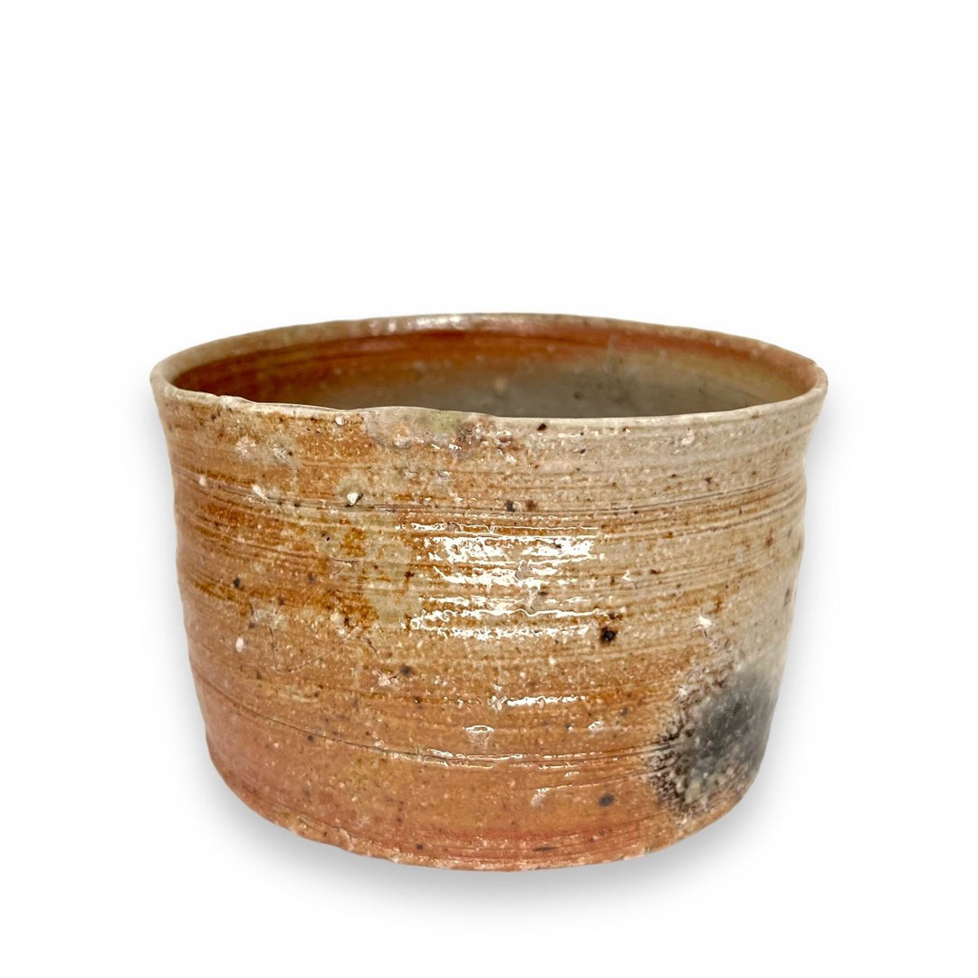 Japanese Handmade Shigayaki Matcha Bowl  - Hyuga - Tea and Whisk