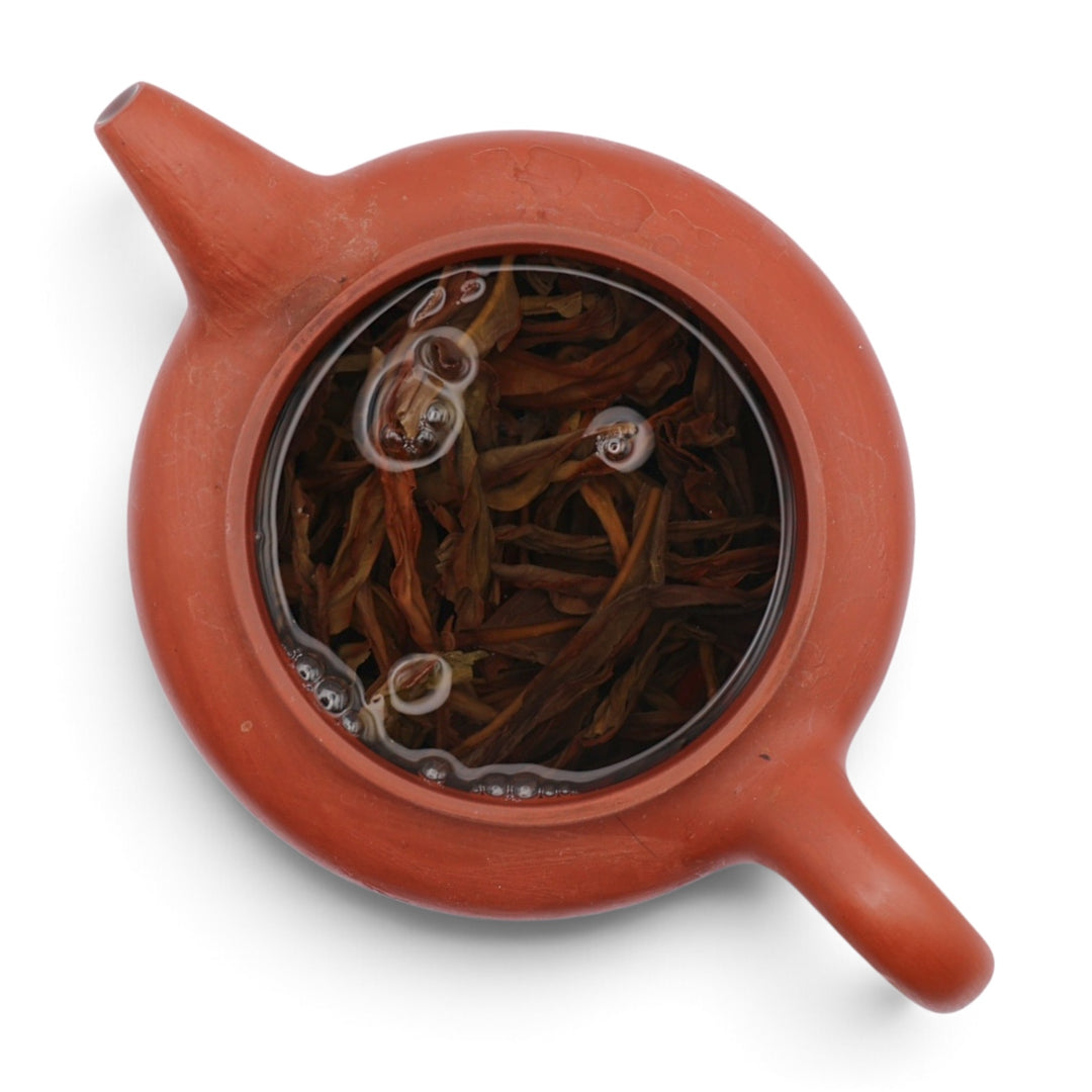 Second Generation Mother Bush Honey Orchid Oolong