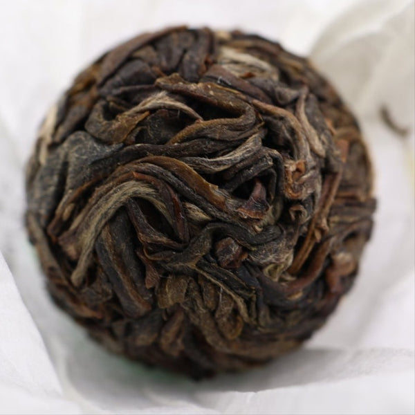 150-year-ancient-tree-bingdao-