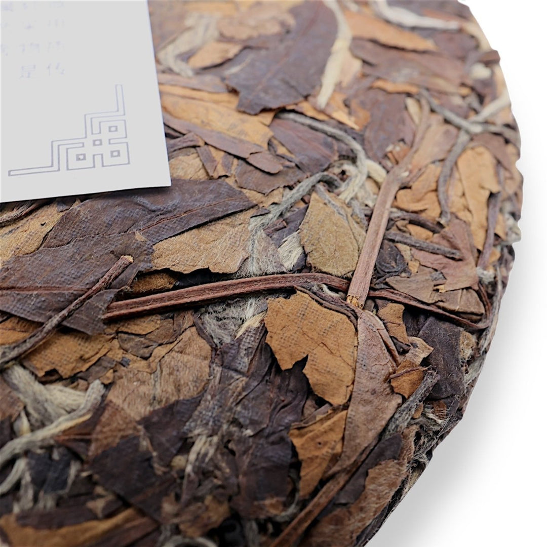 2010 Wild Gongmei Fuding White Tea ( PREORDER ETA DEC 15) - Tea and Whisk