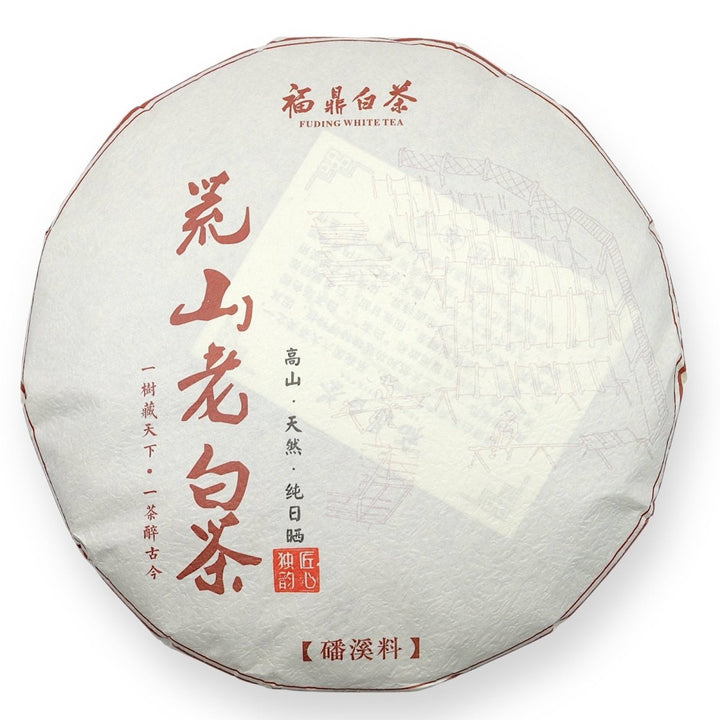 2010 Wild Gongmei Fuding White Tea ( PREORDER ETA DEC 15) - Tea and Whisk