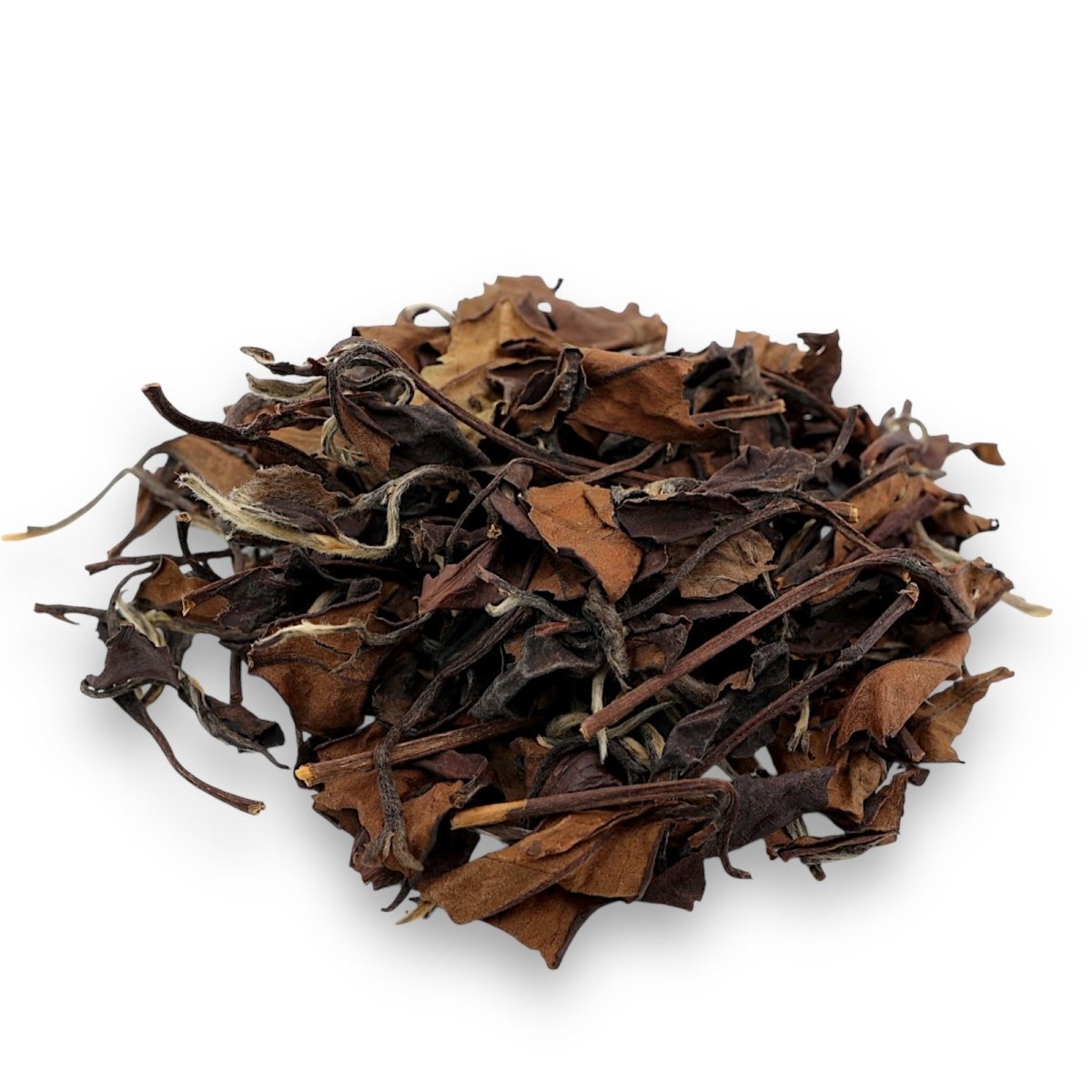 Maple Tree Tea 2012