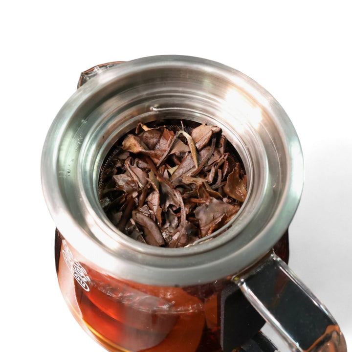 Maple Tree Tea 2012