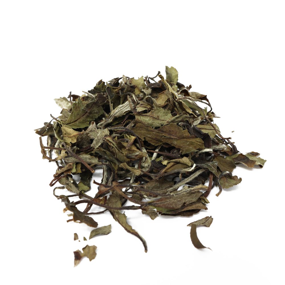 2015 Handpicked GongMei White Tea - Tea and Whisk