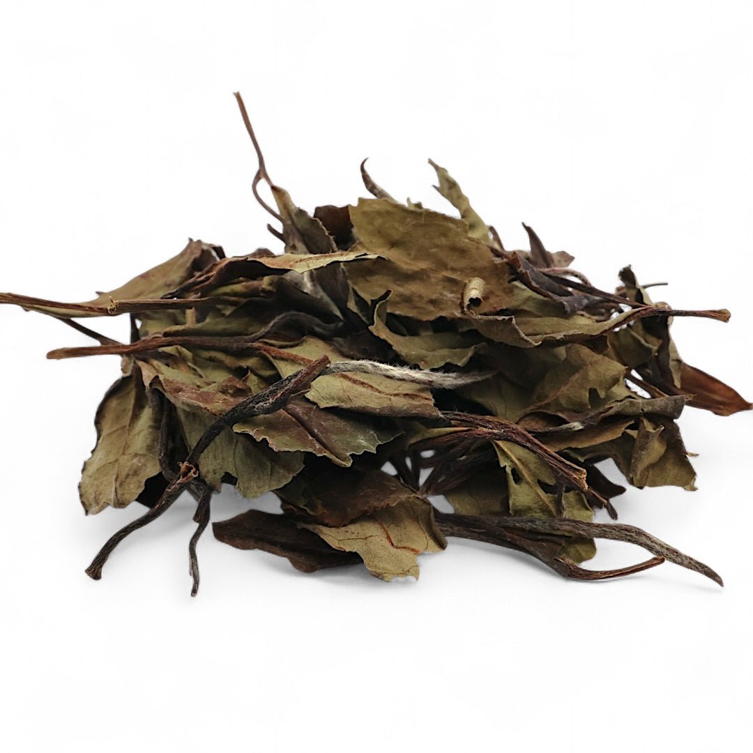 2020 High Mountain Gongmei White Tea - Tea and Whisk