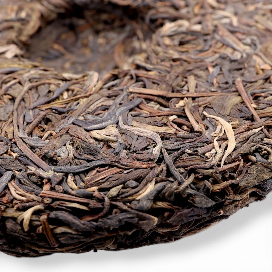 2021 Dashu Autumn Gushu Xigui Raw Puerh - Tea and Whisk
