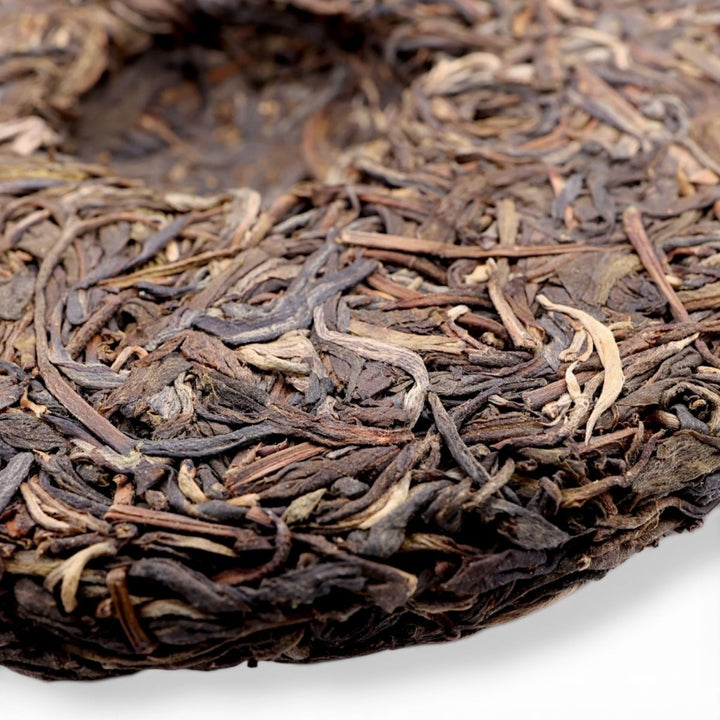 2021 Dashu Autumn Gushu Xigui Raw Puerh - Tea and Whisk