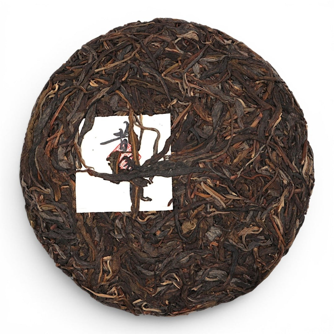 2021 Dashu Autumn Gushu Xigui Raw Puerh - Tea and Whisk