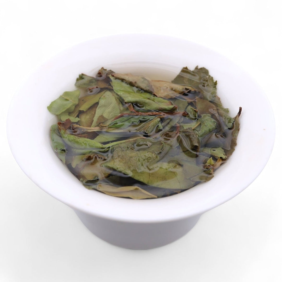 2021 Wild Mother Bush Gongmei White Tea - Tea and Whisk