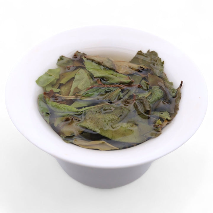 2021 Wild Mother Bush Gongmei White Tea - Tea and Whisk