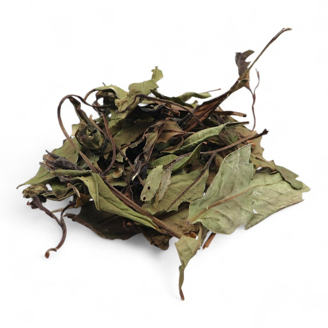 2021 Wild Mother Bush Gongmei White Tea - Tea and Whisk