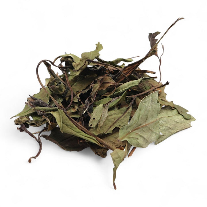2021 Wild Mother Bush Gongmei White Tea - Tea and Whisk