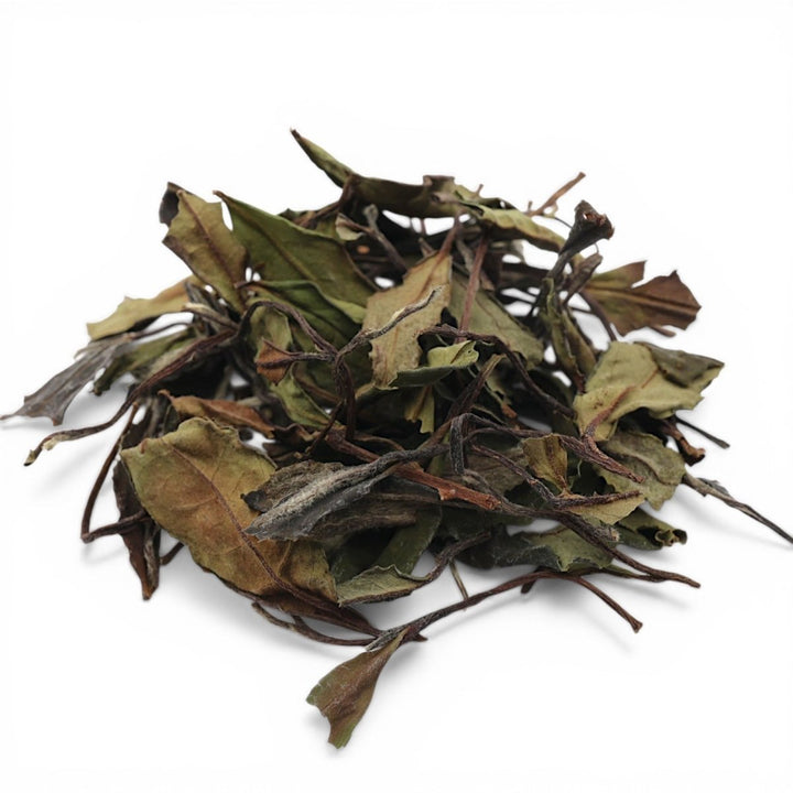 2023 100 - Year Old Bush White - Tea and Whisk
