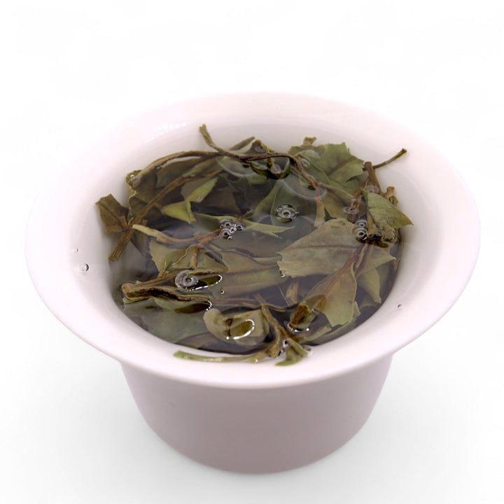 2023 100 - Year Old Bush White - Tea and Whisk