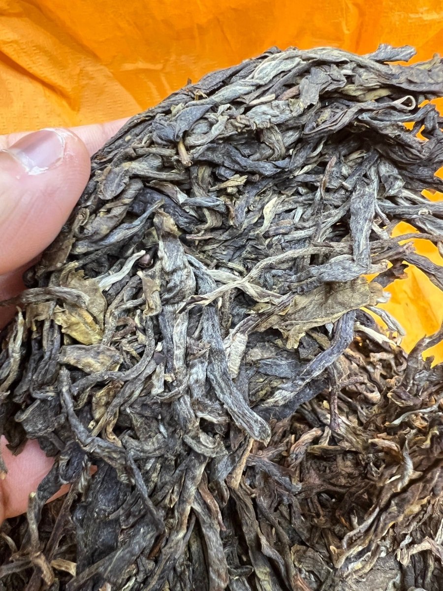 2023 Authentic BingDao Raw Puerh - Tea and Whisk