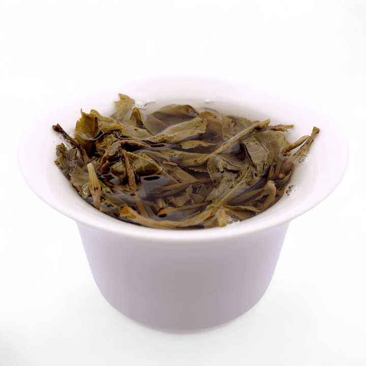 2024 Autumn Sonata Jingmai Sheng Puerh - Tea and Whisk