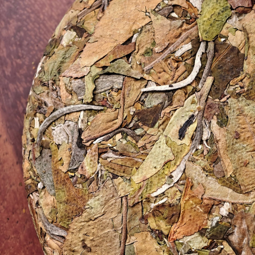 2024 Bingdao Pojiao White Tea - Tea and Whisk