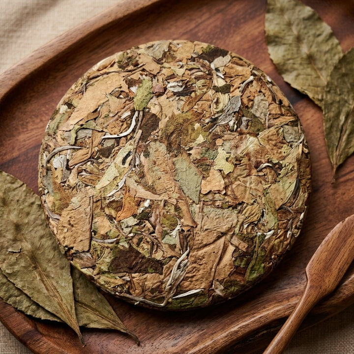 2026 Bingdao Pojiao White Tea (PREORDER ETA SEP 26 2026) - Tea and Whisk