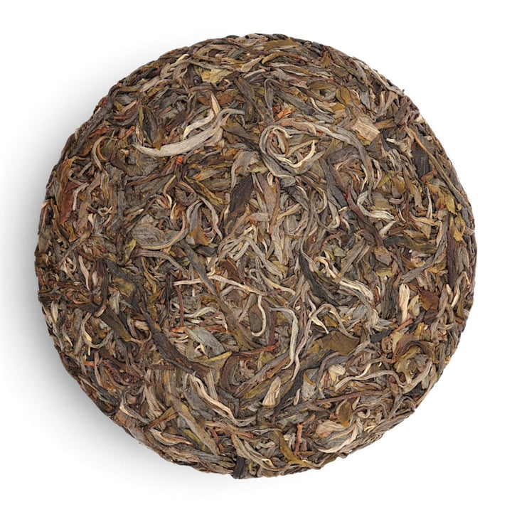 2026 Gedeng "Orchid Mist" Yiwu Raw Puerh - Tea and Whisk