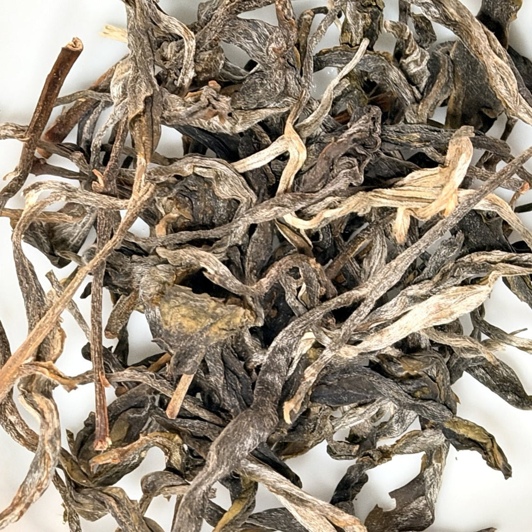 2026 Hexinqu Ancient Tree Jingmai Sheng Puerh - Tea and Whisk