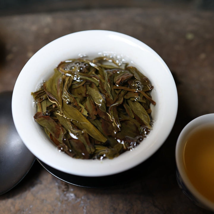 80 - Year Old Bush Duckshit Oolong (Updated July 2024) - Tea and Whisk