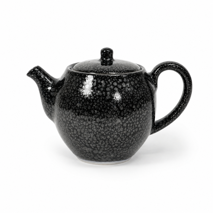 Starlight Tenmoku -Japanese Kyoto Kyusu Teapot