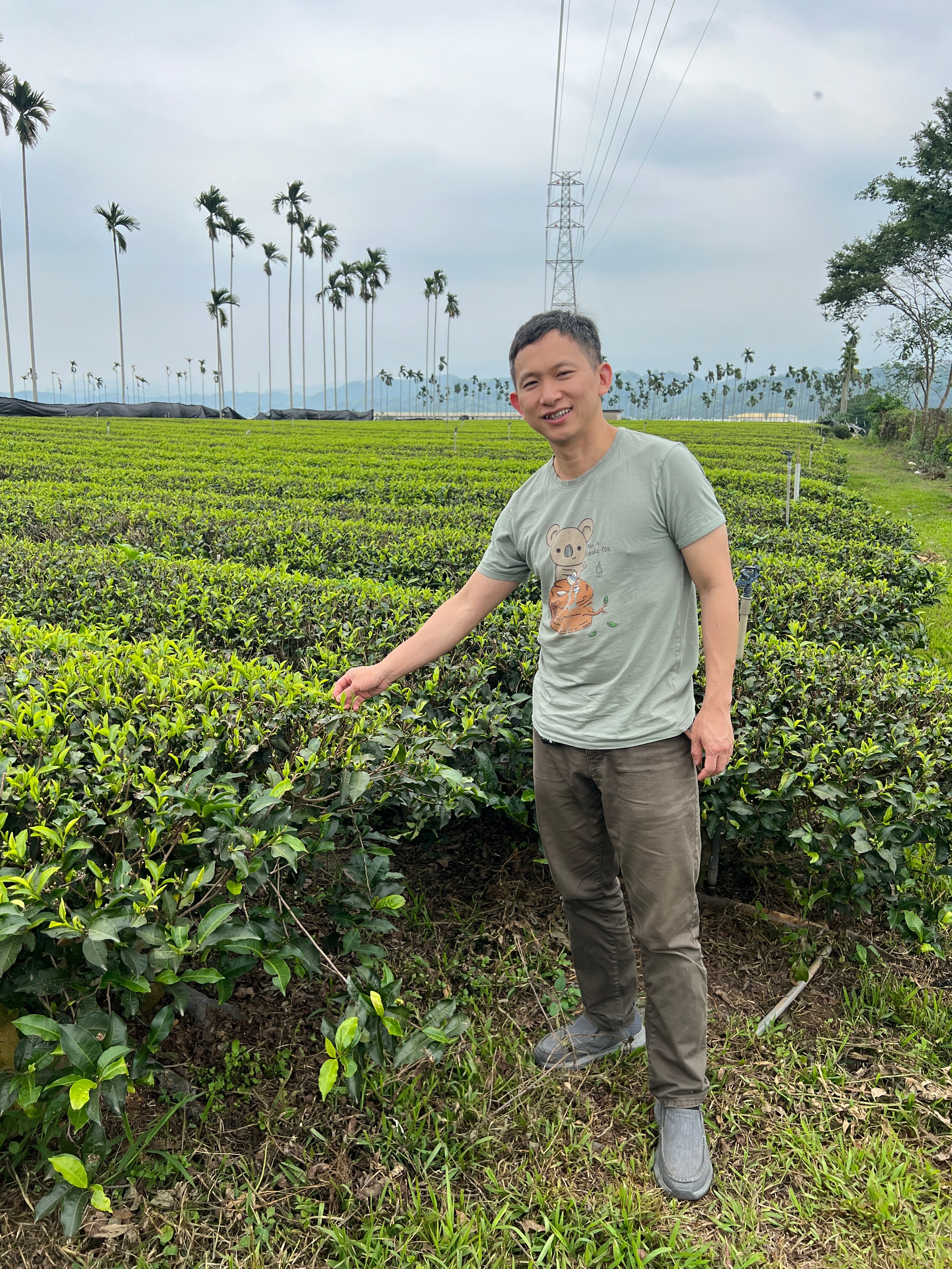 Leo at organic 18Ruby white tea farm in Taiwan