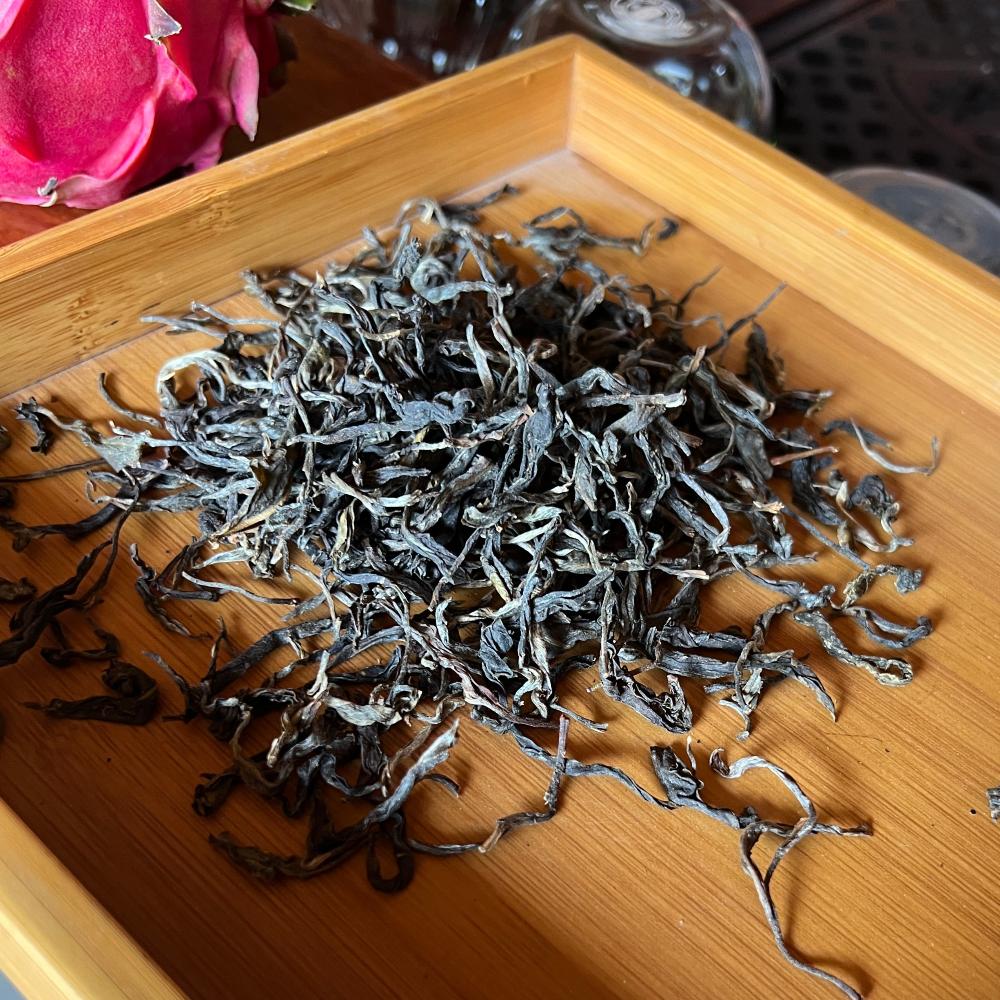 Best Gushu Ancient Tree Puerh Tea Experience - Part 3 - Tea and Whisk