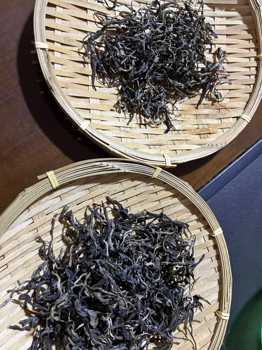 Best Gushu Ancient Tree Puerh Tea Experience - Part 3 - Tea and Whisk