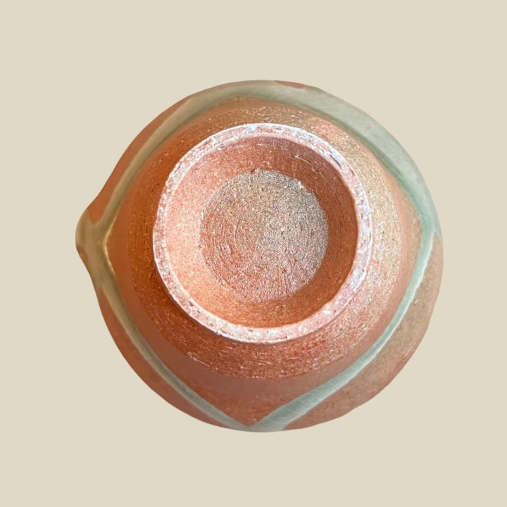 Blushing Spring - Japanese Handmade Shigayaki Hobin Shiboridashi - Tea and Whisk