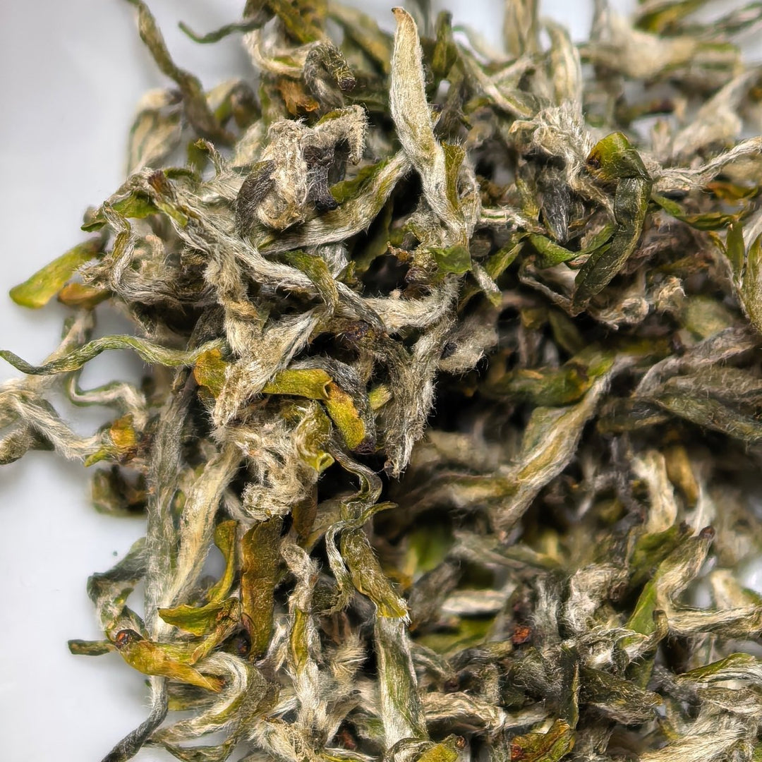 Early Harvest Mengding Ganlu Premium Green Tea - Tea and Whisk