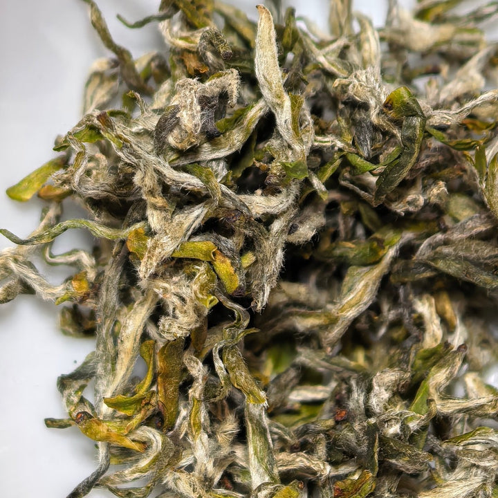 Early Harvest Mengding Ganlu Premium Green Tea - Tea and Whisk