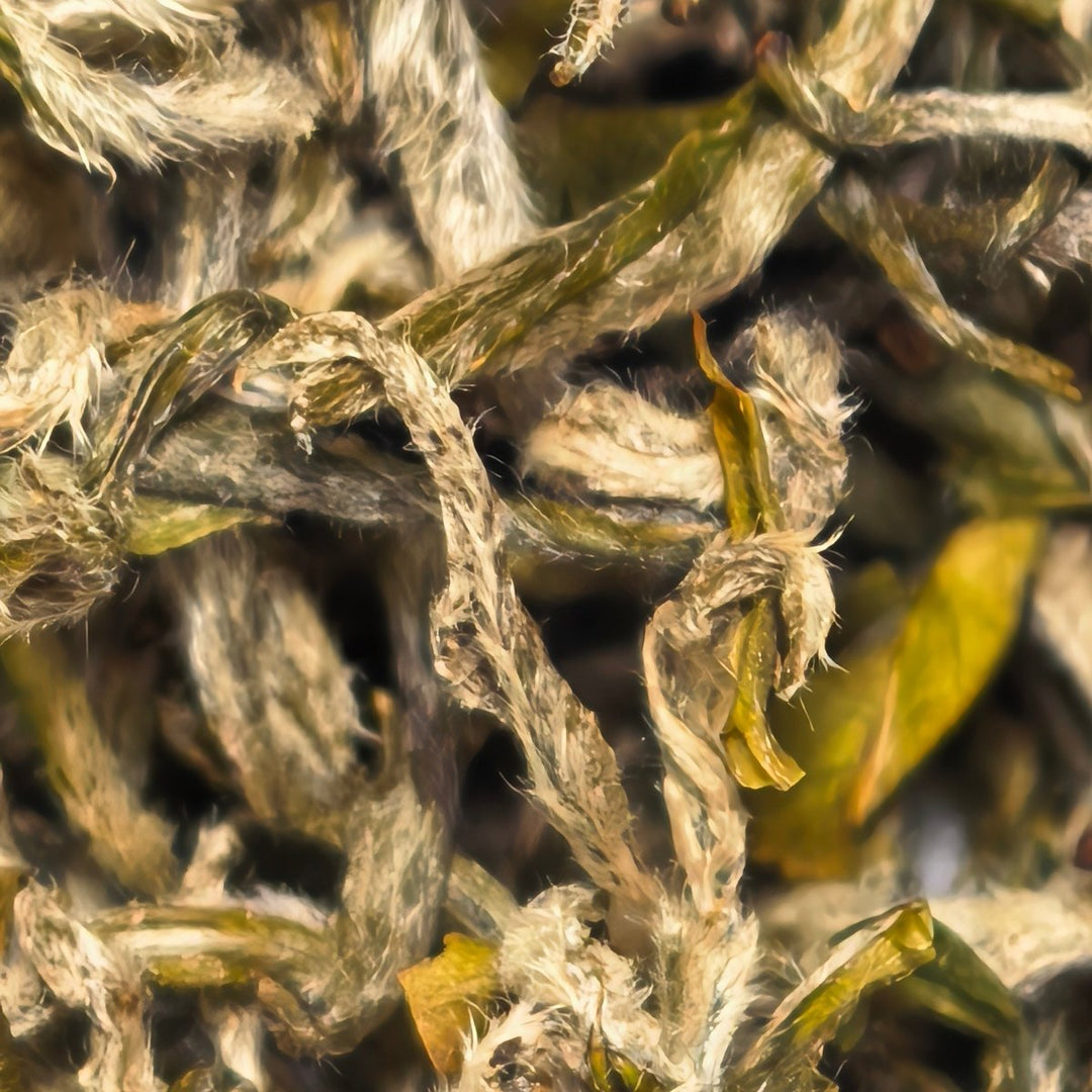 Early Harvest Mengding Ganlu Premium Green Tea - Tea and Whisk