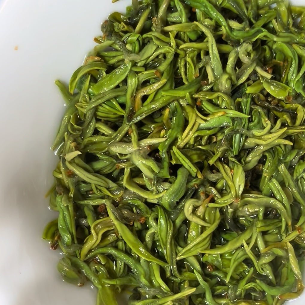 First - Pick High Mountain Clouds & Mist Green Tea - Tea and Whisk