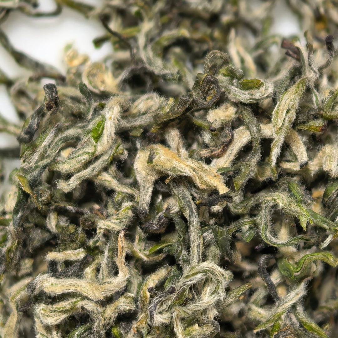 First - Pick High Mountain Clouds & Mist Green Tea - Tea and Whisk