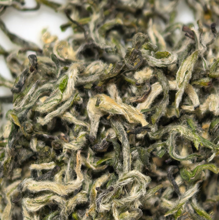 First - Pick High Mountain Clouds & Mist Green Tea - Tea and Whisk