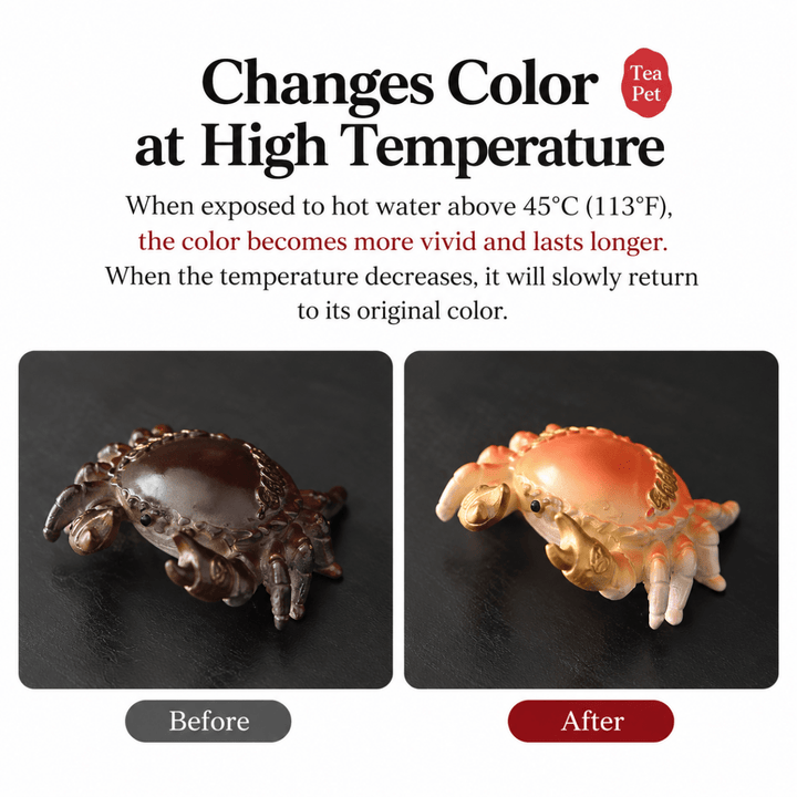 Golden Fortune Color-Changing Tea Pet - Tea and Whisk