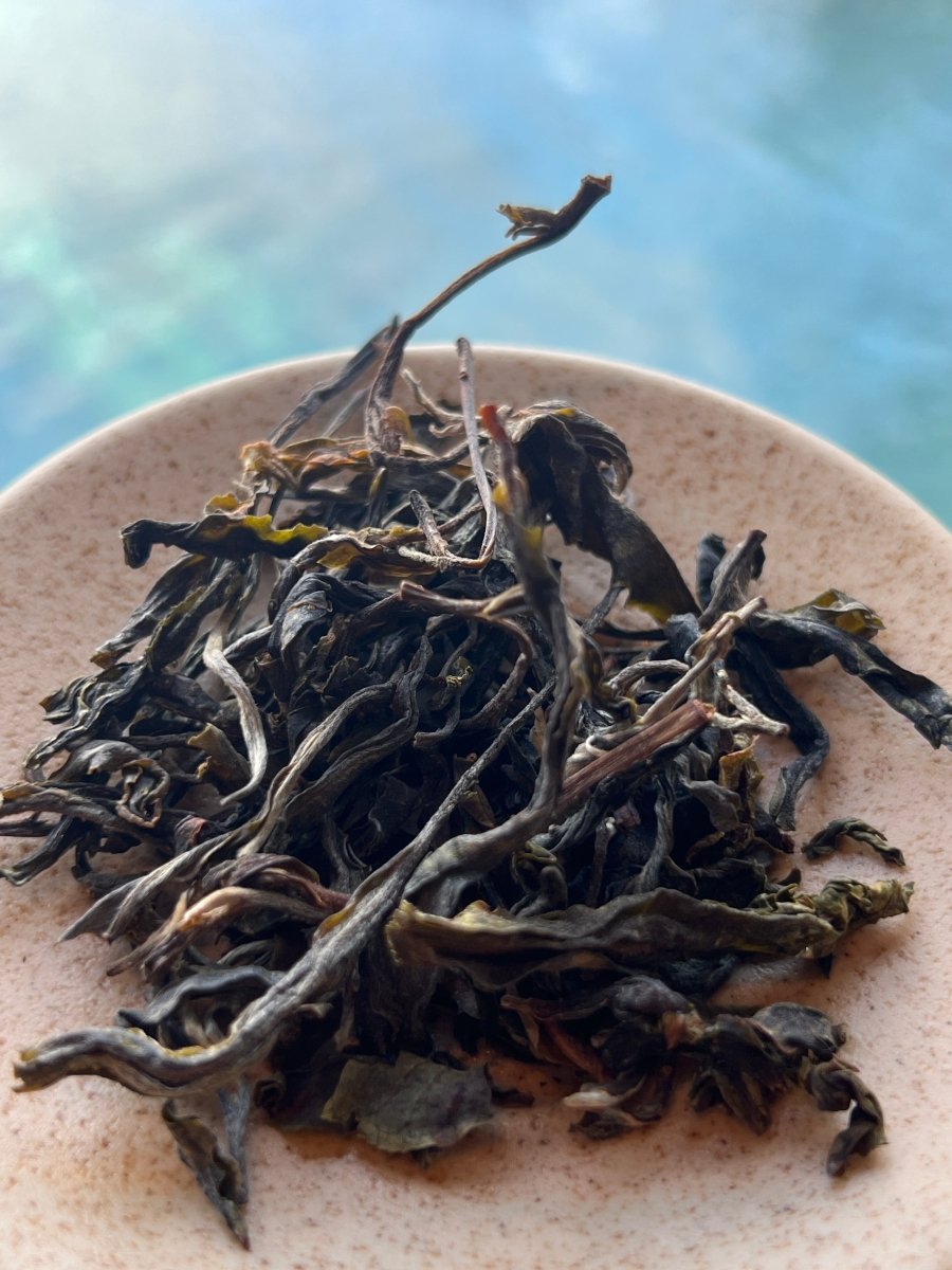 Gushu Old Tree Xigui Raw Puerh - Tea and Whisk