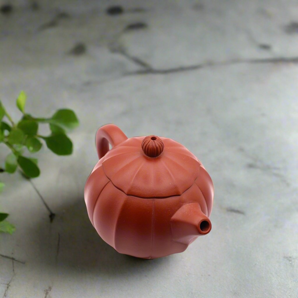 Handmade Yixing Clay Teapot - Bliss - Tea and Whisk