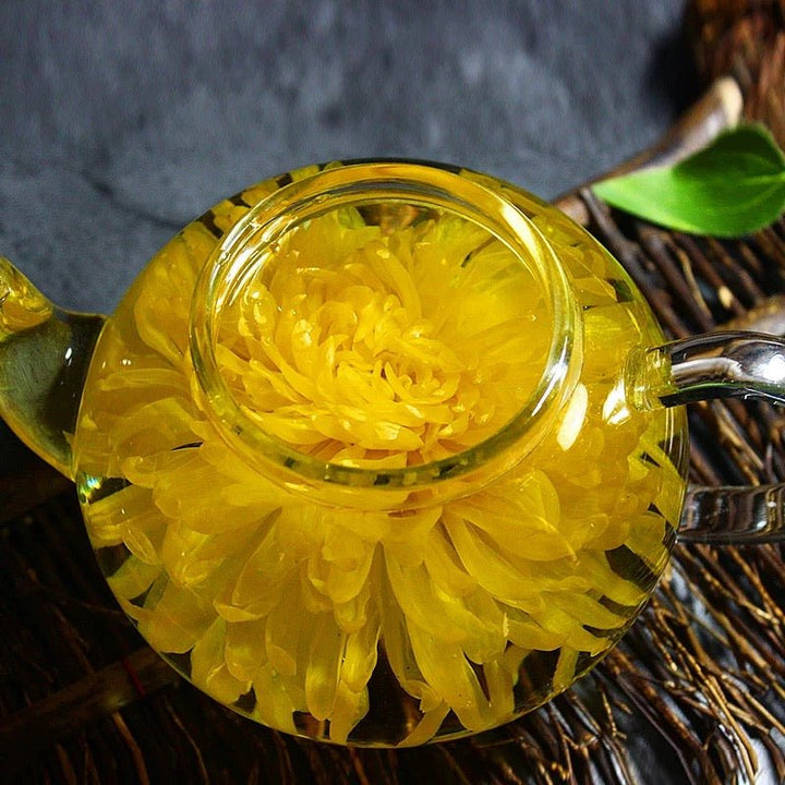 Imperial Golden Silk Chrysanthemum - Tea and Whisk