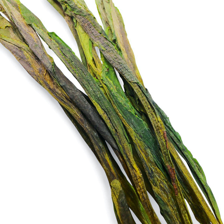 Imperial TaiPing HouKui (Updated July 2025) - Tea and Whisk