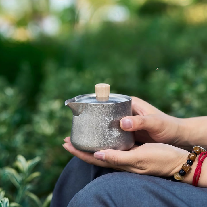 Lifetime Double - wall Silver Titanium Travel Tea Set - Tea and Whisk