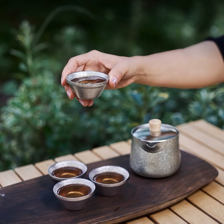 Lifetime Double - wall Silver Titanium Travel Tea Set - Tea and Whisk
